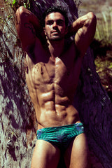 Palm Leaf Print Swim Brief