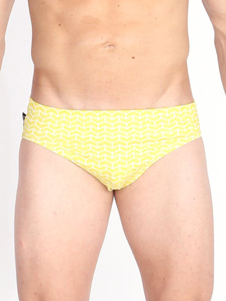 Brick Chevron Swim Brief