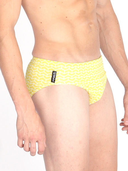 Brick Chevron Swim Brief