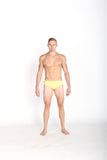Brick Chevron Swim Brief