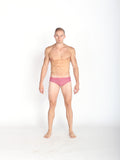 Brick Chevron Swim Brief