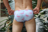 Flamingo Swim Brief