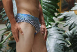 Tropical Geo Swim Brief